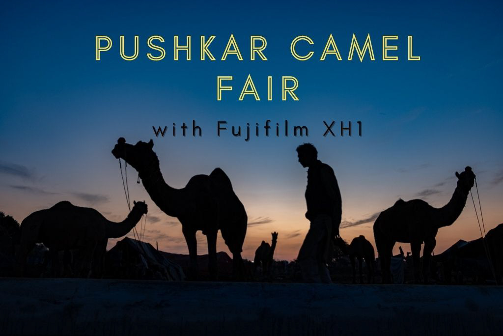 Pushkar Camel Fair Photography Tips