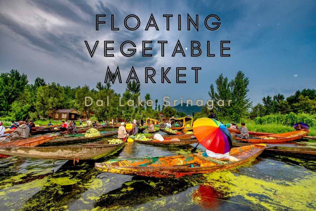  Floating Vegetable Market on Dal Lake in Srinagar 