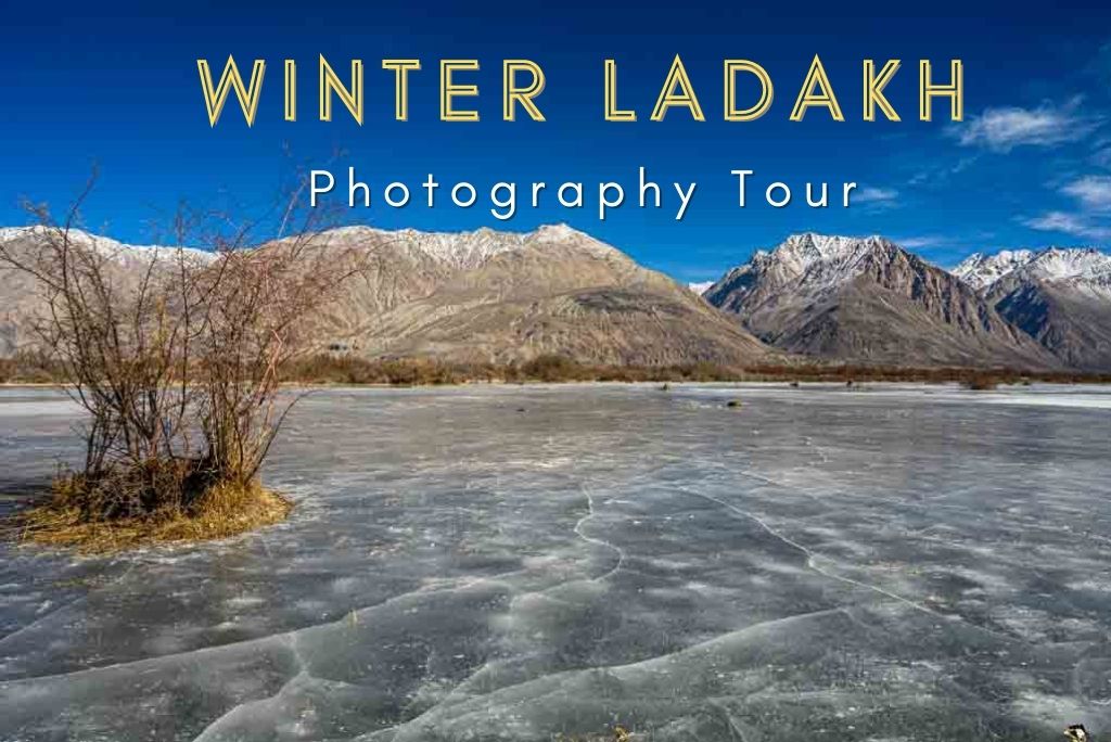 Ladakh in Winter Photography Tour - March 2024